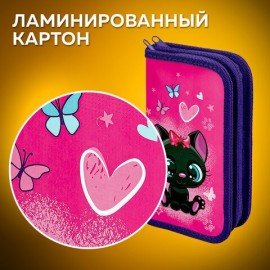 Пенал ПИФАГОР, 2 отделения, ламинированный картон, 19х11 см, "Black kitten", 270881