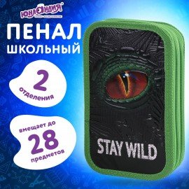 Пенал ЮНЛАНДИЯ, 2 отделение, ламинированный картон, 19х11 см, "Stay wild", 270889