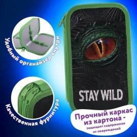 Пенал ЮНЛАНДИЯ, 2 отделение, ламинированный картон, 19х11 см, "Stay wild", 270889