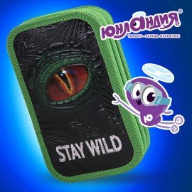 Пенал ЮНЛАНДИЯ, 2 отделение, ламинированный картон, 19х11 см, "Stay wild", 270889