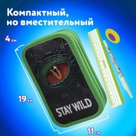 Пенал ЮНЛАНДИЯ, 2 отделение, ламинированный картон, 19х11 см, "Stay wild", 270889