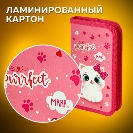 Пенал ПИФАГОР, 1 отделение, ламинированный картон, 19х11 см, "Fluffy cat", 271002