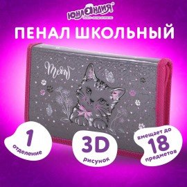 Пенал ЮНЛАНДИЯ, 1 отделение, металлизированный картон, конгрев, 19х11 см, "Meow", 271103