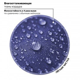 Рюкзак BRAUBERG MOTION, 2 отделения, 3 кармана, "Pawprints", 41х28х17 см, 271362