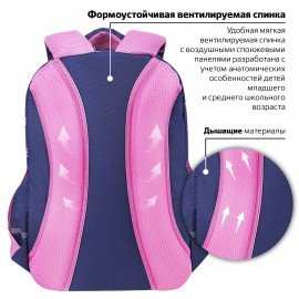 Рюкзак BRAUBERG MOTION, 2 отделения, 3 кармана, "Pawprints", 41х28х17 см, 271362