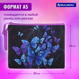 Папка для тетрадей BRAUBERG А5, 1 отделение, полиэстер, на молнии, с ручкой, "Fly Aways", 271499