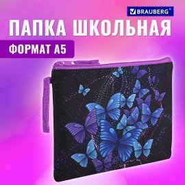 Папка для тетрадей BRAUBERG А5, 1 отделение, полиэстер, на молнии, с ручкой, "Fly Aways", 271499