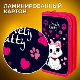 Пенал ПИФАГОР, 2 отделения, ламинированный картон, 19х11 см, "Positive Kitty", 271534