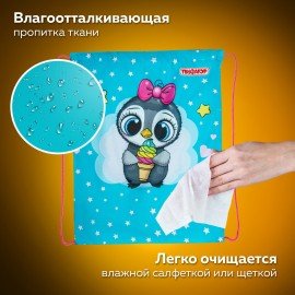 Мешок для обуви ПИФАГОР, 1 отделение, 40х32 см, "Smart penguin", 271602