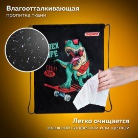 Мешок для обуви ПИФАГОР, 1 отделение, 40х32 см, "T-Rex", 271606