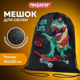 Мешок для обуви ПИФАГОР, 1 отделение, 40х32 см, "T-Rex", 271606