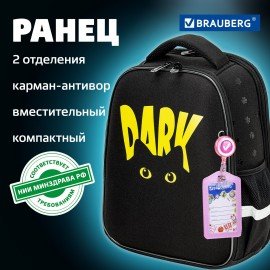 Ранец BRAUBERG FIT, 2 отделения, "Dark cat", 38х27х14 см, 272026