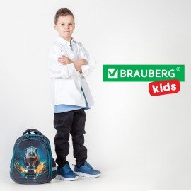 Ранец BRAUBERG KIDS STANDARD, 2 отделения, "Dino chase", 3D панель, 36х28х14 см, 272036