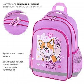 Рюкзак ПИФАГОР SCHOOL, 1 отделение, 3 кармана, "Fluffy akita", 38x28х14 см, 272084