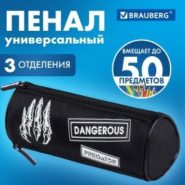 Пенал BRAUBERG, 3 отделения, нейлон, 21х7х7 см, "Claws", 272307