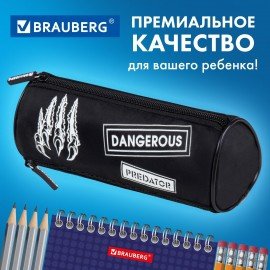 Пенал BRAUBERG, 3 отделения, нейлон, 21х7х7 см, "Claws", 272307