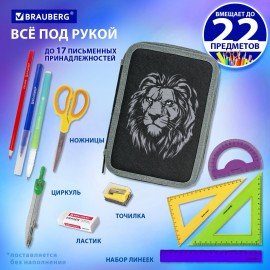 Пенал BRAUBERG, 2 отделения, полиэстер, 21х14 см, "Savage lion", 272331