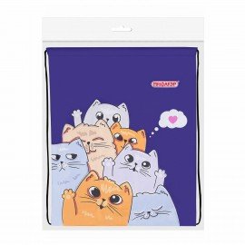 Мешок для обуви ПИФАГОР, 1 отделение, 40х32 см, Cats greetings, 272382