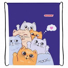 Мешок для обуви ПИФАГОР, 1 отделение, 40х32 см, Cats greetings, 272382