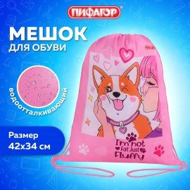 Мешок для обуви ПИФАГОР, 1 отделение, 42х34 см, "Fluffy akita", 272385