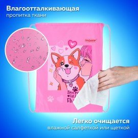 Мешок для обуви ПИФАГОР, 1 отделение, 42х34 см, "Fluffy akita", 272385