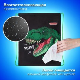 Мешок для обуви ПИФАГОР, 1 отделение, 42х34 см, "Dino roar", 272387