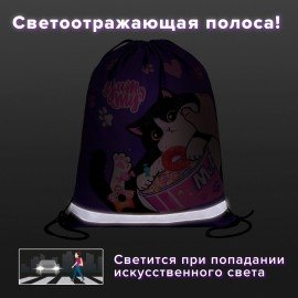 Мешок для обуви BRAUBERG KIDS, светоотражающая полоса, 46х36 см, "Sweet cheeks", 272390