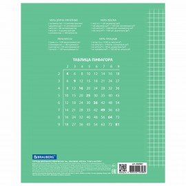 Тетрадь 18 л. BRAUBERG ЭКО "5-КА", клетка, обложка плотная мелованная бумага, ЗЕЛЕНАЯ, 402987