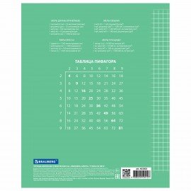 Тетрадь 24 л. BRAUBERG ЭКО "5-КА", клетка, обложка плотная мелованная бумага, ЗЕЛЕНАЯ, 403003