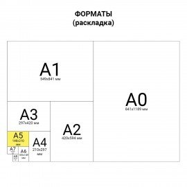 Тетрадь бумвинил, А5, 48 л., скоба, офсет №1, клетка, с полями, STAFF, ЗЕЛЕНЫЙ, 403413