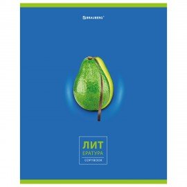 Тетрадь предметная "AVOCADO" 48 л., глянцевый лак, ЛИТЕРАТУРА, линия, подсказ, BRAUBERG, 404281