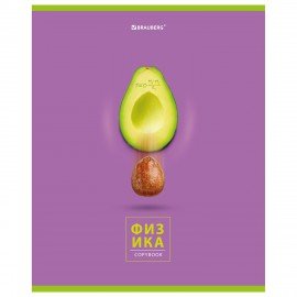 Тетрадь предметная "AVOCADO" 48 л., глянцевый лак, ФИЗИКА, клетка, BRAUBERG, 404283