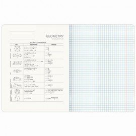 Тетрадь предметная "GRADIENT" 48 л., матовая ламинация, лак, ГЕОМЕТРИЯ, клетка, BRAUBERG, 404290