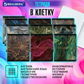 Тетради предметные, КОМПЛЕКТ 12 ПРЕДМЕТОВ, "MARBLE", 48 л., SoftTouch, фольга, BRAUBERG, 404326