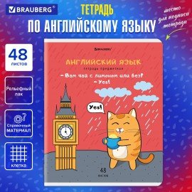 Тетрадь предметная "КОТ-ЭНТУЗИАСТ" 48 л., TWIN-лак, АНГЛИЙСКИЙ ЯЗЫК, клетка, подсказ, BRAUBERG, 404558