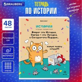 Тетрадь предметная "КОТ-ЭНТУЗИАСТ" 48 л., TWIN-лак, ИСТОРИЯ, клетка, подсказ, BRAUBERG, 404563