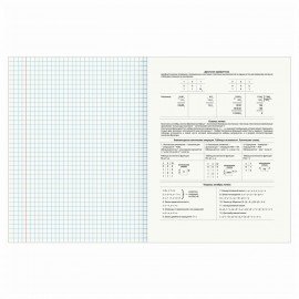 Тетрадь предметная "DELIGHT" 48 л., обложка картон, ИНФОРМАТИКА, клетка, BRAUBERG, 404574