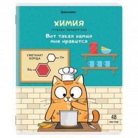 Тетради предметные, КОМПЛЕКТ 12 ПРЕДМЕТОВ, "КОТ-ЭНТУЗИАСТ", 48 л., TWIN-лак, BRAUBERG, 404609