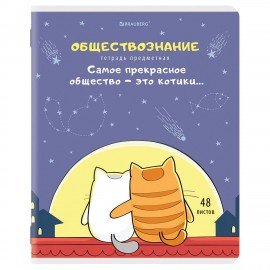 Тетради предметные, КОМПЛЕКТ 12 ПРЕДМЕТОВ, "КОТ-ЭНТУЗИАСТ", 48 л., TWIN-лак, BRAUBERG, 404609