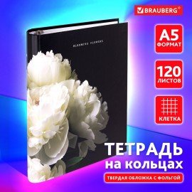 Тетрадь на кольцах А5 175х215мм, 120л, твердый картон, фольга, клетка, BRAUBERG, Flowers, 404721