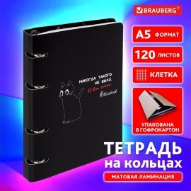 Тетрадь на кольцах А5 160х212мм, 120л, картон, матовая ламинация, клетка, BRAUBERG, Просто Кот, 404723