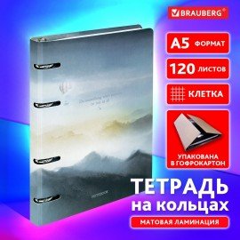 Тетрадь на кольцах А5 160х212мм, 120л, картон,матовая ламинация, клетка, BRAUBERG, Аниме new, 404724