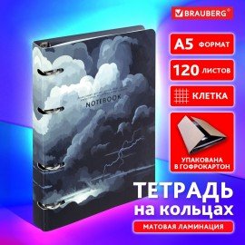 Тетрадь на кольцах А5 160х212мм, 120л, картон,матовая ламинация, клетка, BRAUBERG, Сова, 404726