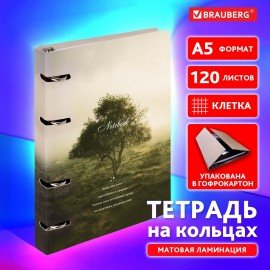 Тетрадь на кольцах А5 160х212мм, 120л, картон,матовая ламинация, клетка, BRAUBERG, Relax, 404728