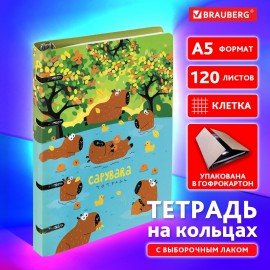 Тетрадь на кольцах А5 160х212мм, 120л, картон, выборочный лак, клетка, BRAUBERG, Elements, 404731