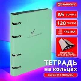 Тетрадь на кольцах А5 160х212мм, 120л, картон, фольга, клетка, BRAUBERG, Elegance, 404734