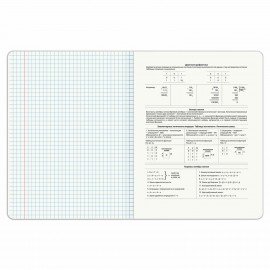 Тетрадь предметная PIGMENT 48 л., глянцевый УФ-лак, ИНФОРМАТИКА, клетка, подсказ, BRAUBERG, 404764
