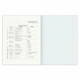 Тетрадь предметная "SPORT CLUB" 48 л., обложка картон, ГЕОМЕТРИЯ, клетка, подсказ, BRAUBERG, 404799
