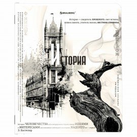 Тетради предметные, КОМПЛЕКТ 12 ПРЕДМЕТОВ, "BLACK&WHITE", 48 л., матовая ламинация, BRAUBERG, 404835