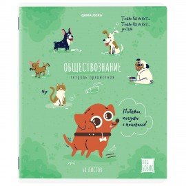 Тетради предметные, КОМПЛЕКТ 12 ПРЕДМЕТОВ, "DOG БОБИК", 48 л., TWIN-лак, BRAUBERG, 404840